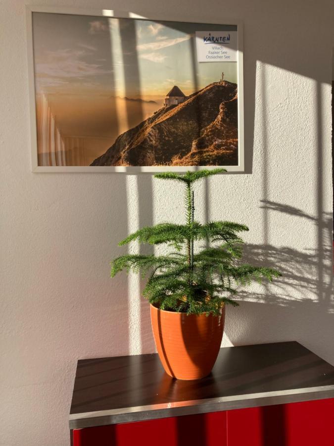 Ferienhaus Auszeit Natur フィラハ エクステリア 写真