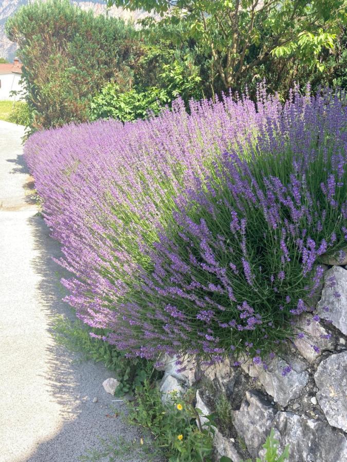 Ferienhaus Auszeit Natur フィラハ エクステリア 写真